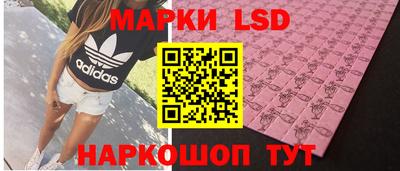 Альфа ПВП Славгород